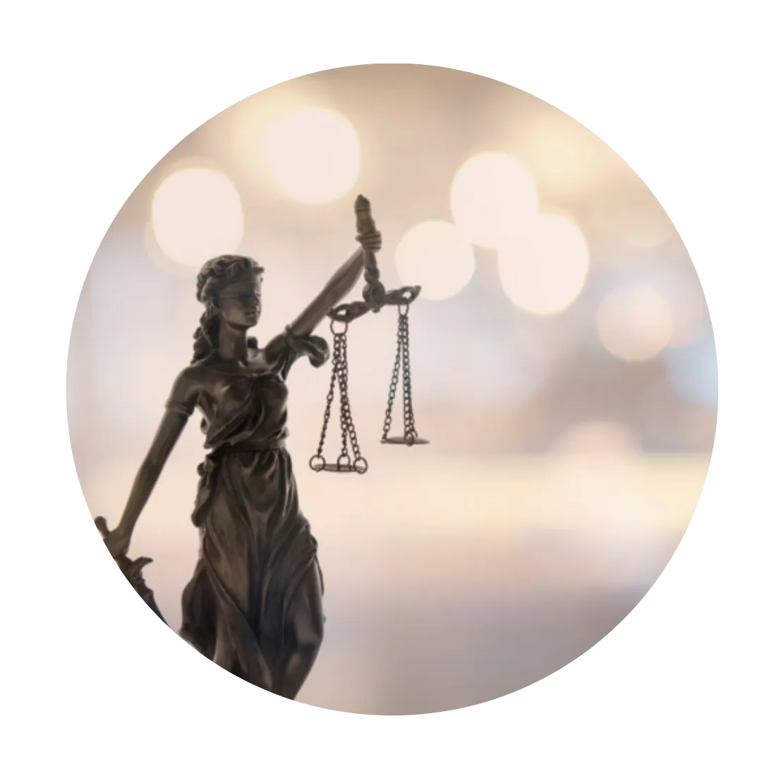 Image of Criminalization of Women